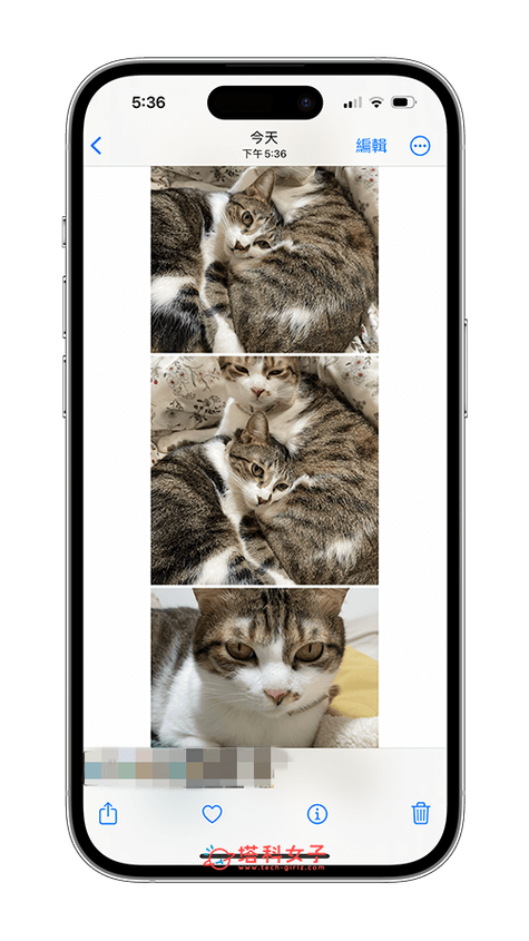 苹果手机怎么把几张照片合成一张