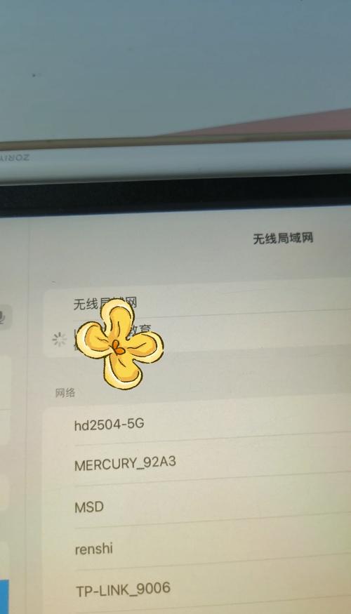 苹果怎么看已连接的wifi密码