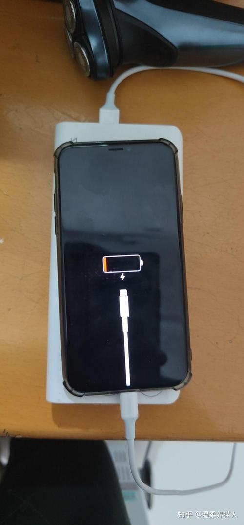 苹果手机显示在充电但是充不进去