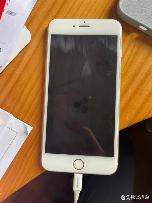 苹果手机显示在充电但是充不进去