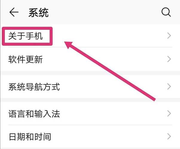 vivo手机的开发者选项在哪里