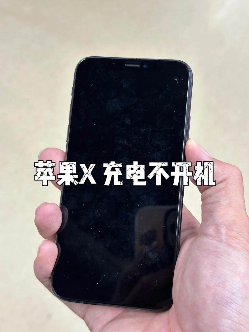 苹果手机充电充不进去什么原因