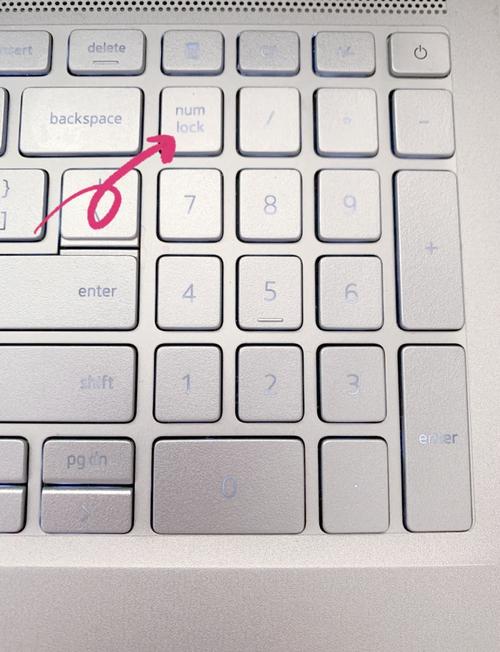 笔记本电脑数字键盘打不出数字