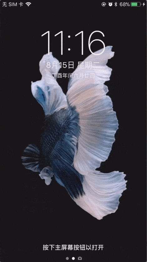 苹果livephoto壁纸