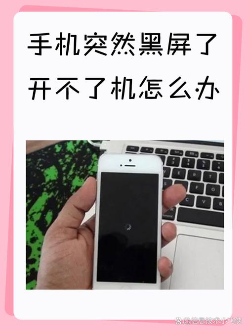 苹果手机为什么突然开不了机