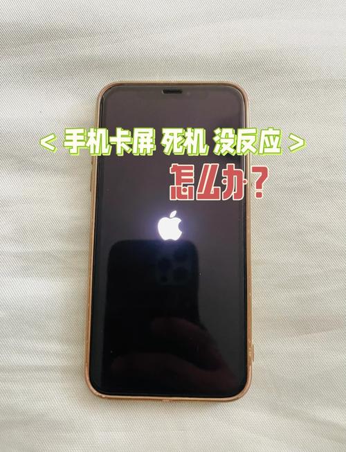 苹果手机死机了怎么强制关机