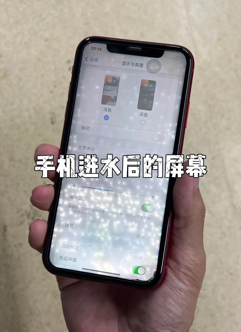 苹果手机进水屏幕失灵怎么办