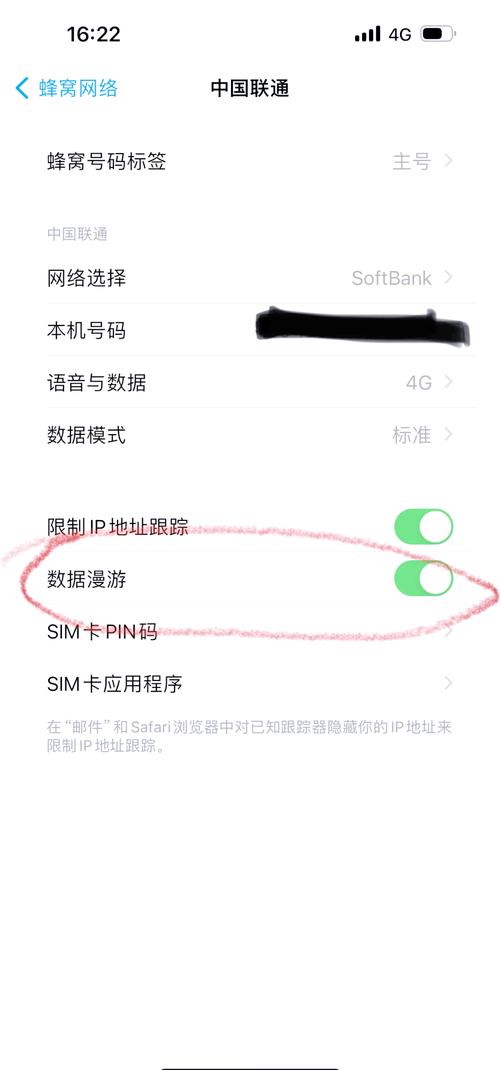 苹果手机怎么看用了多少流量