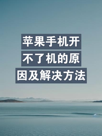 苹果手机进水开不了机怎么办