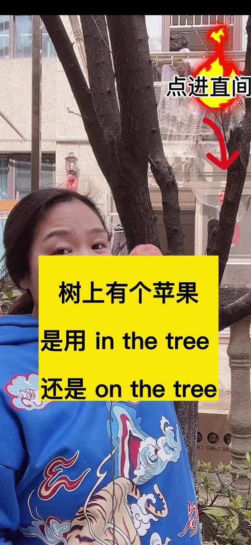 苹果长在树上用on还是in