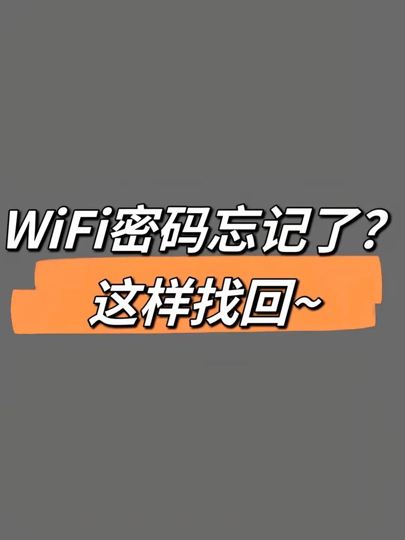 忘记手机wifi密码怎么办