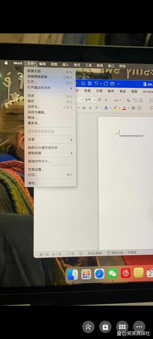 苹果电脑怎么用office
