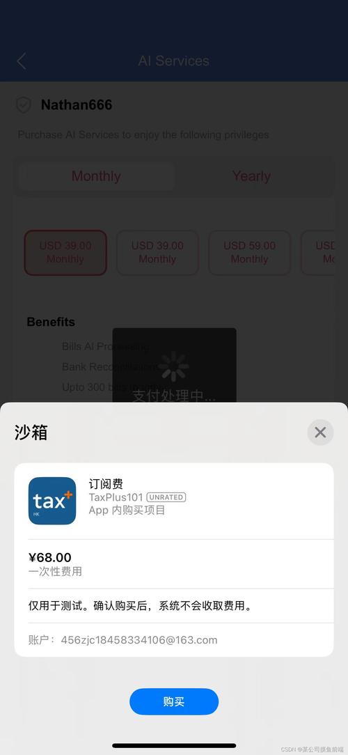 苹果app购买项目什么意思