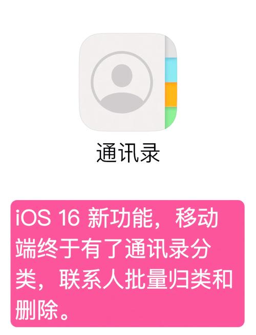 苹果手机怎么看通讯录黑名单