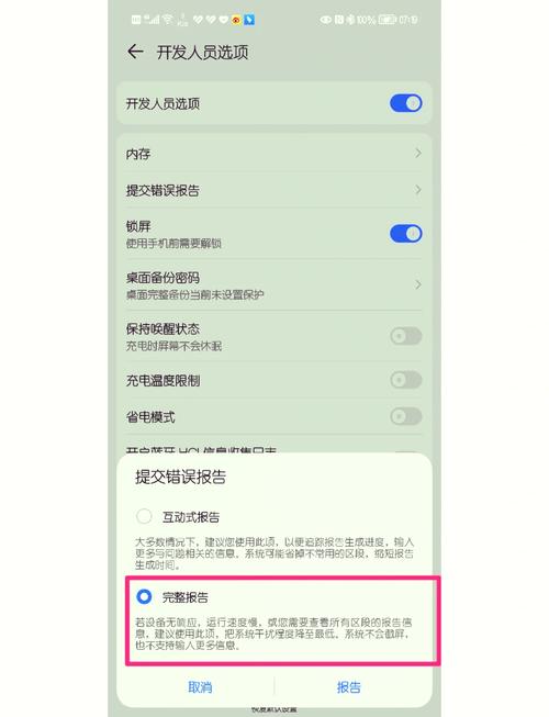 华为手机怎么打开开发者选项
