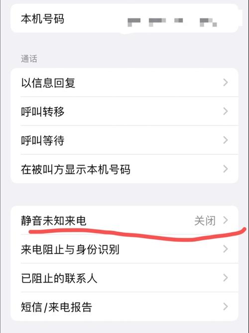苹果手机为什么打不出去电话