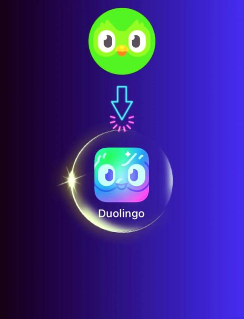duolingo安卓版下载