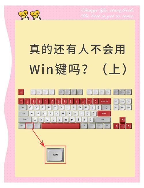 电脑windows键是哪个