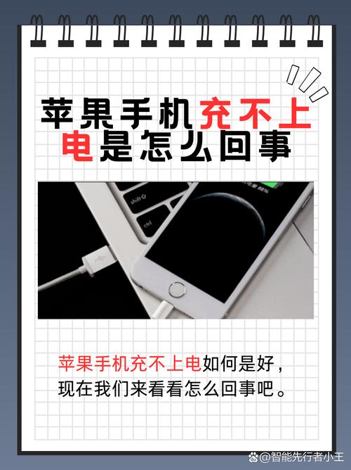 苹果手机充不了电是什么原因