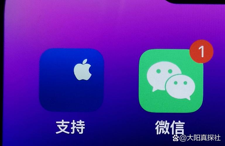 苹果手机打不出去也打不进来