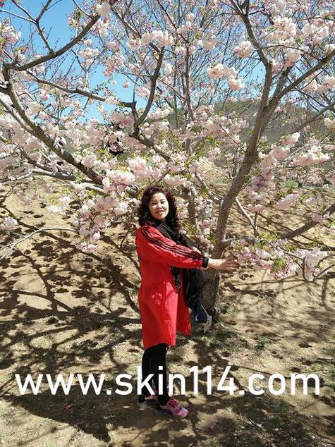 6080青苹果新视觉电影