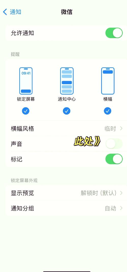 苹果手机如何关闭语音控制