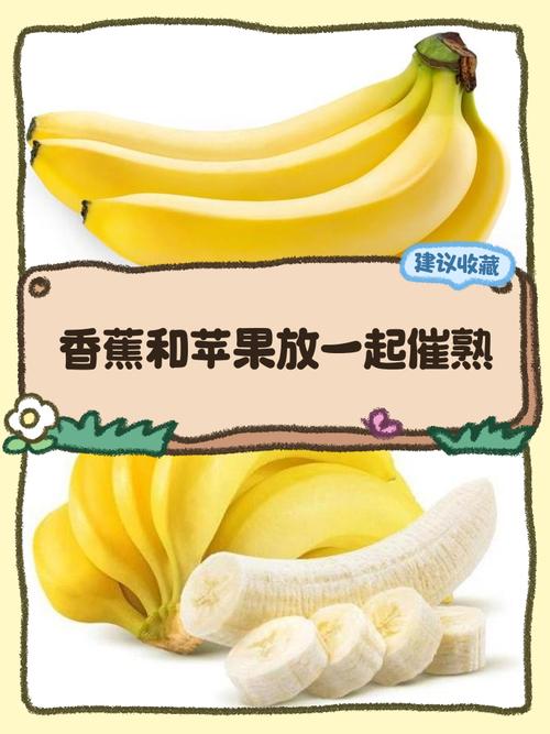 香蕉和苹果可以一起榨汁吗