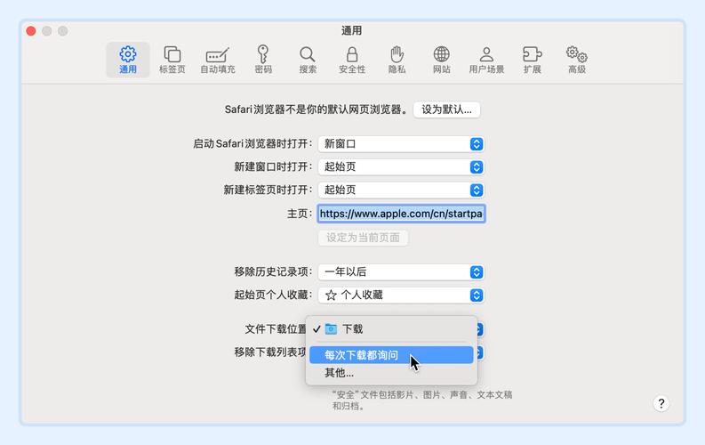 电脑浏览器下载的文件在哪里
