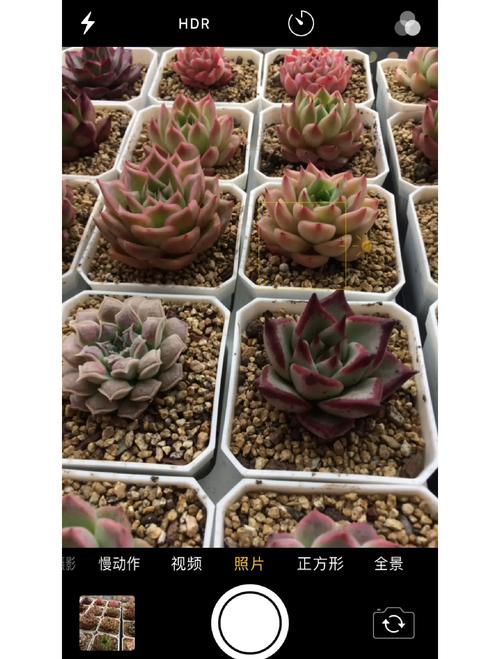 苹果5s可以用4g网络吗