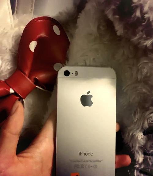 苹果5s可以用4g网络吗