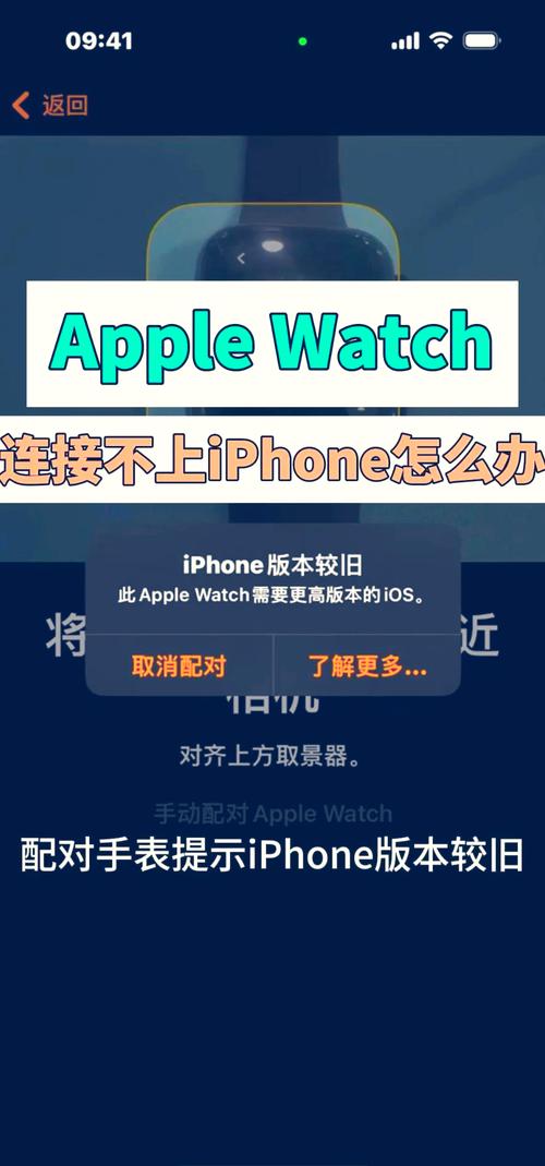 苹果手机为什么连不上网络