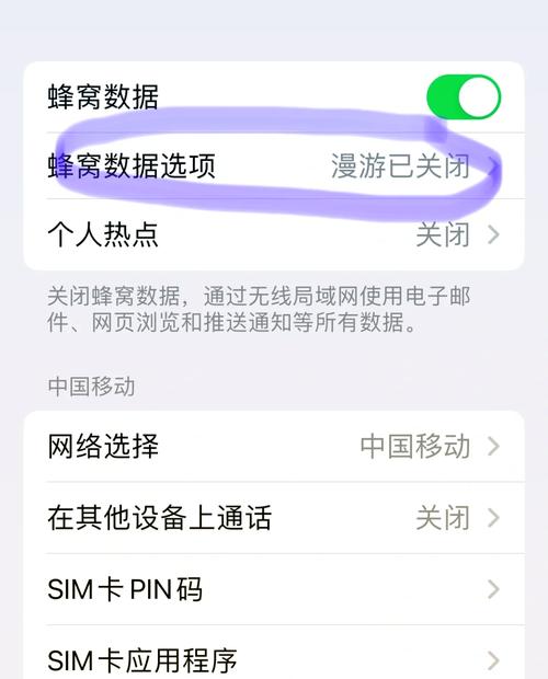 苹果手机怎么打不出去电话
