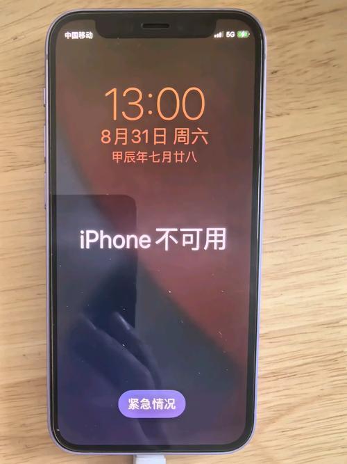 苹果手机访问限制密码忘了