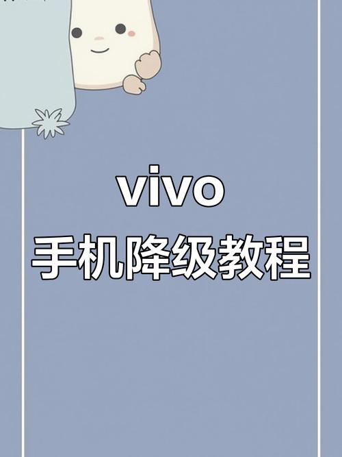 vivo手机系统怎么升级