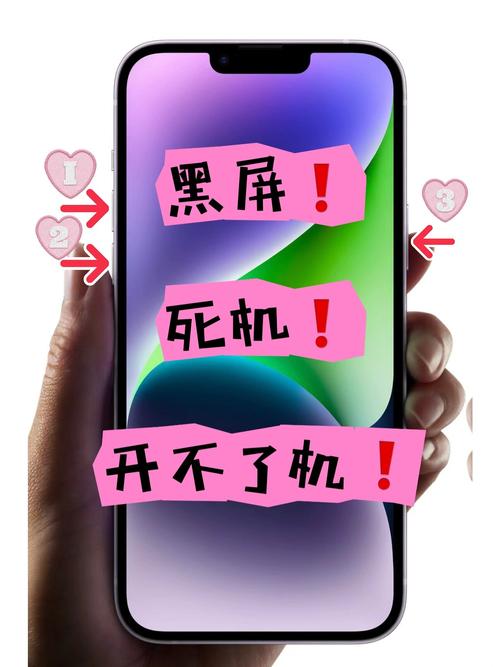 苹果手机突然关机开不了机