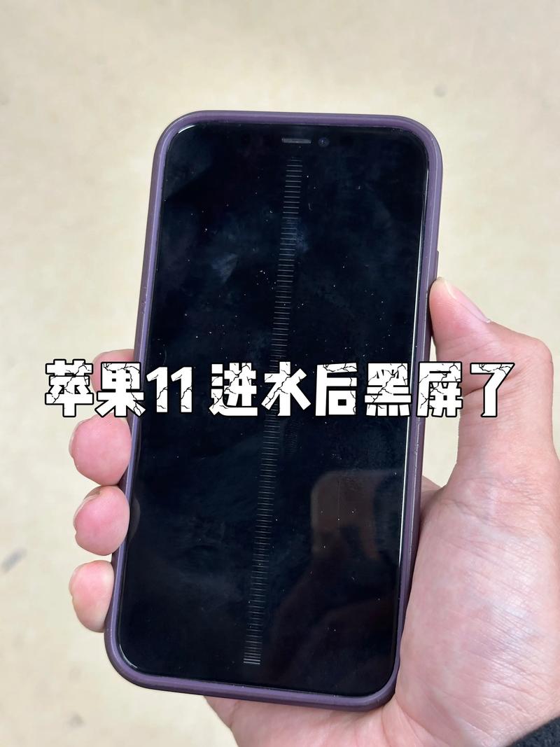 手机进水后屏幕失灵怎么办