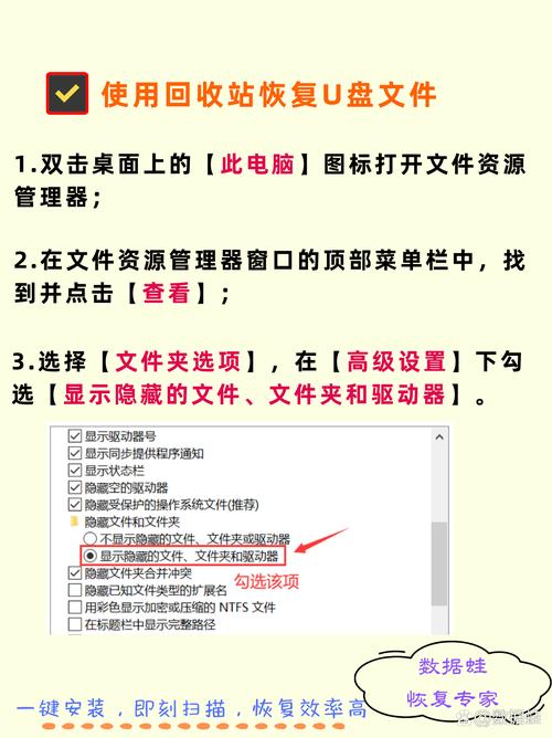 电脑文件隐藏了怎么找出来