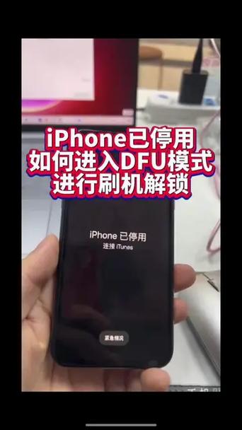 苹果手机显示已停用怎么办