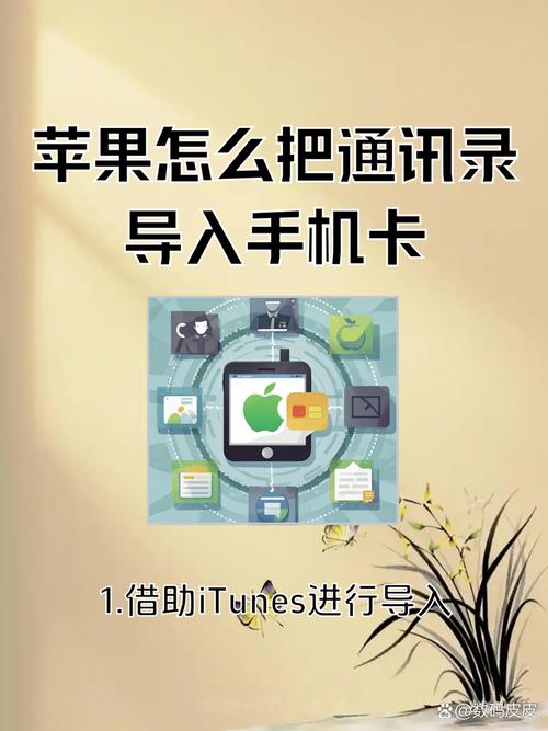 苹果手机号码导入sim卡