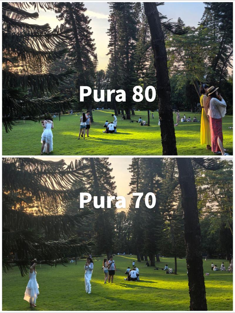 手机拍照和相机拍照的区别