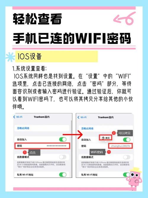 苹果查看手机wifi密码