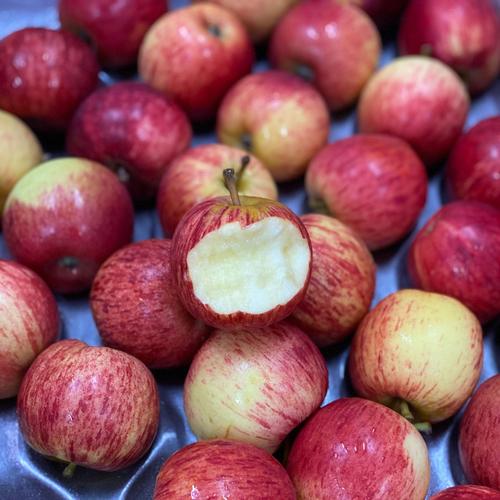 小苹果小苹果小苹果小苹果