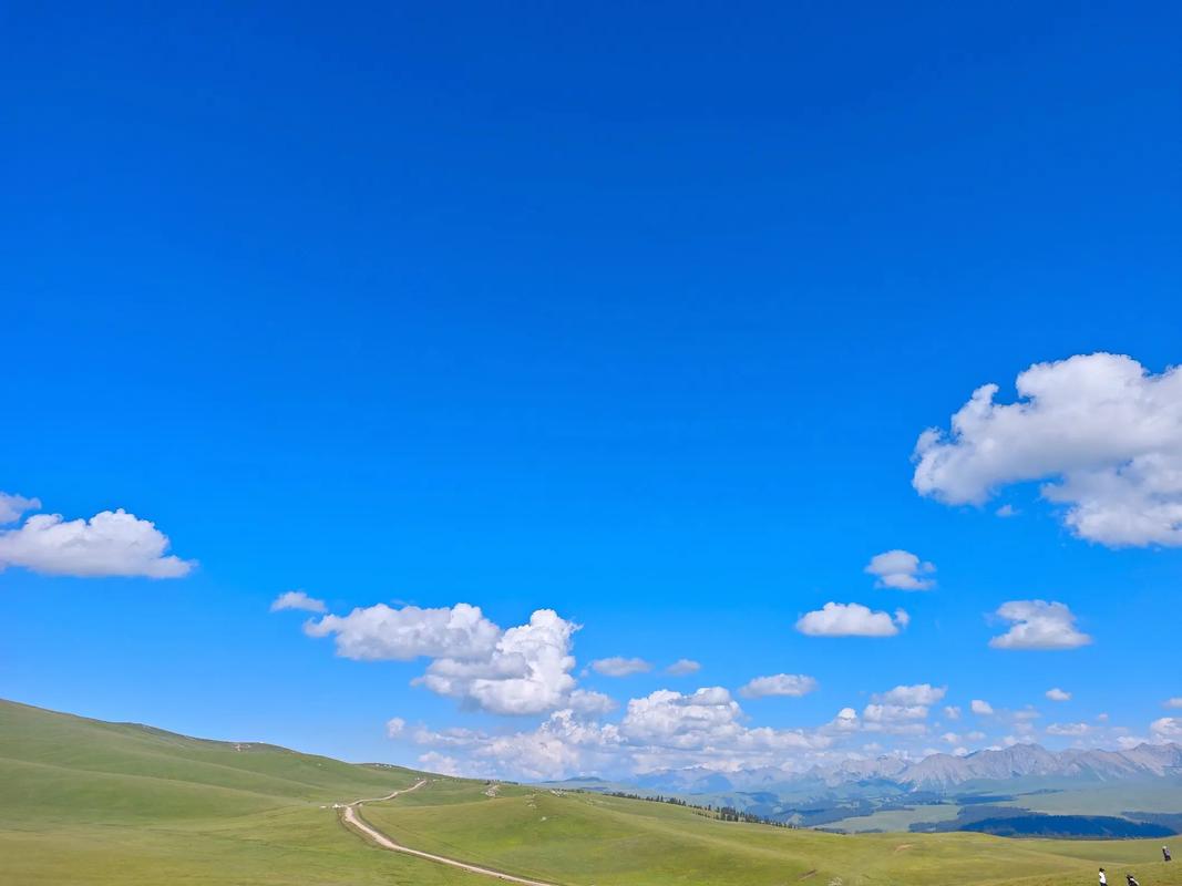 windows桌面安卓版