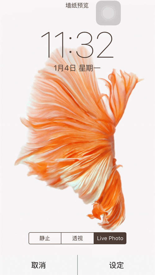 安卓手机动态壁纸怎么设置