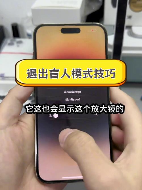 苹果手机怎么退出盲人模式