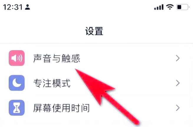苹果手机怎么设置来电震动