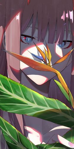 pokemmo安卓手机版