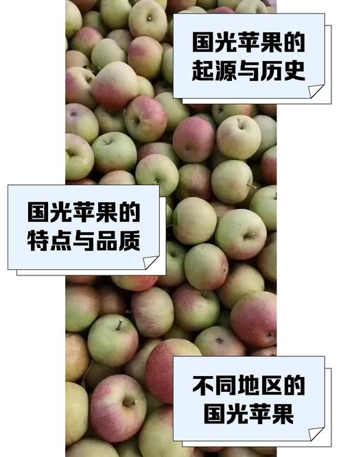 iphone为什么叫苹果