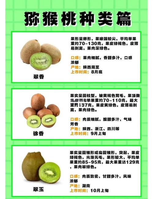 猕猴桃可以和苹果一起吃吗