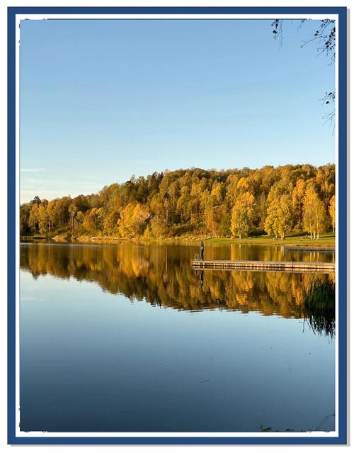 苹果手机哪款拍照效果最好